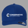 Conservative Party Hat Embroidered - Image 2